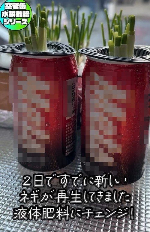 出所：mikanbo_ya19_87