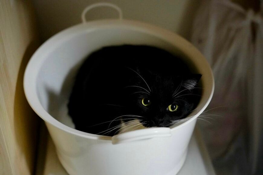 出所:@unicouniuni3