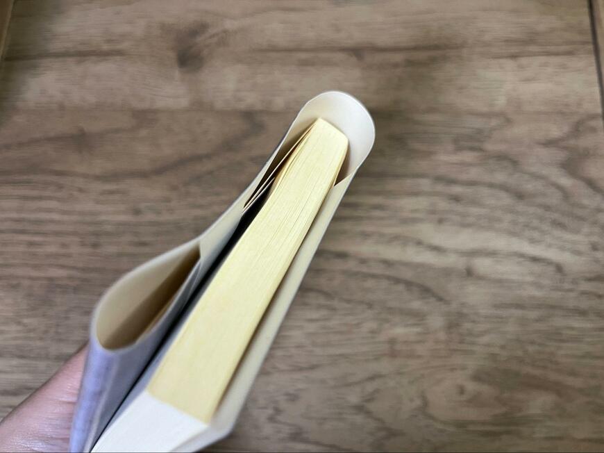 筆者撮影（セリア、ノート＆ブックカバー A6・文庫本対応サイズ マスターピースコレクション/GK・EM）