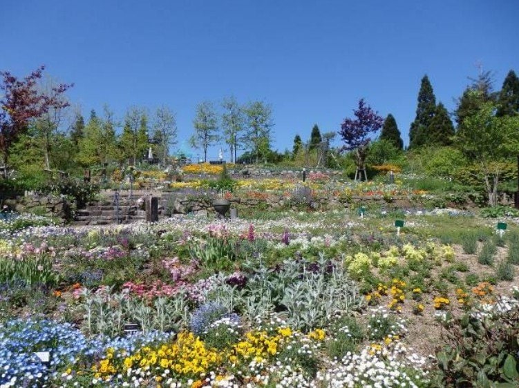 出所：比叡山自動車道株式会社「比叡山頂の“眺望”庭園美術館 ～ガーデンミュージアム比叡～ 4 月 18 日(土) 2026 年度の営業を開始します」