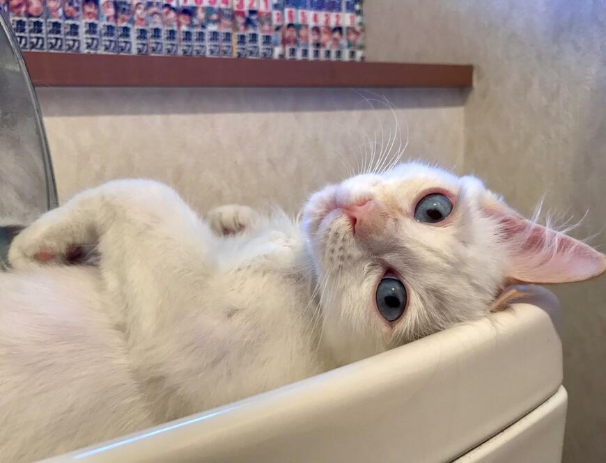 出所：@omochi_nam01