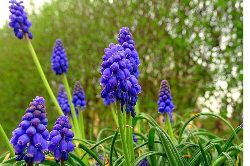 ro:del16/istockphoto.com