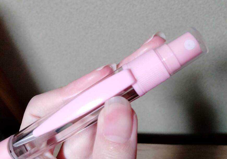 筆者撮影（セリア、スプレーボールペン 替芯付き 0.5mm 黒）