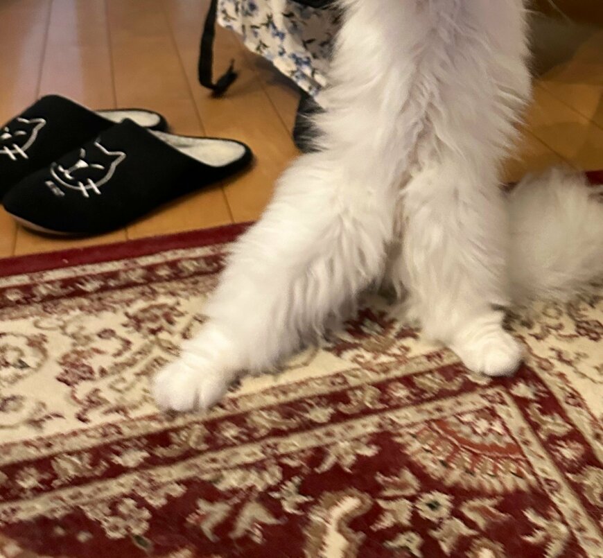 出所：@NEKOLAND13