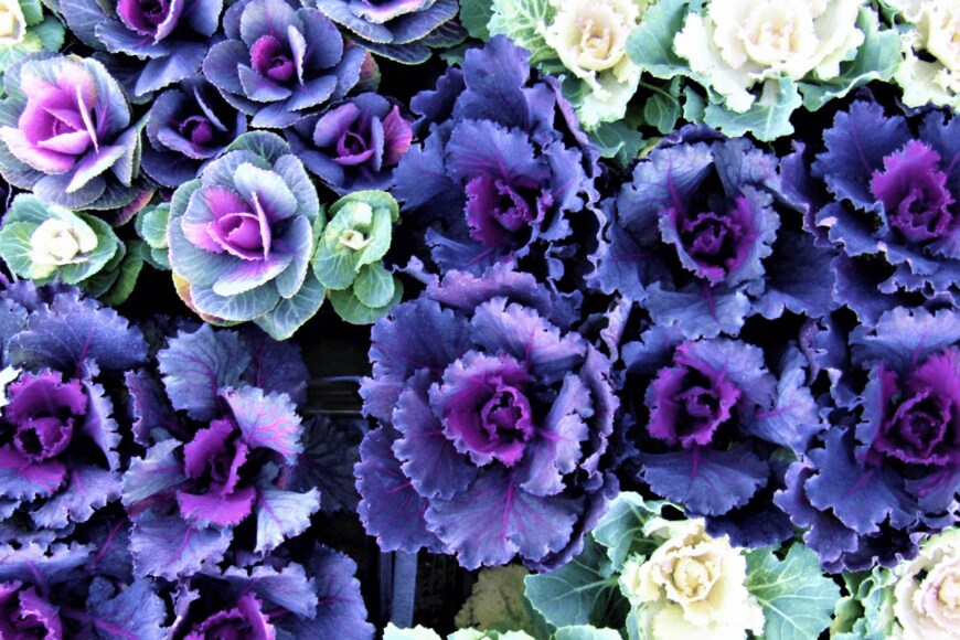 Kristyna Sindelkova/istockphoto.com