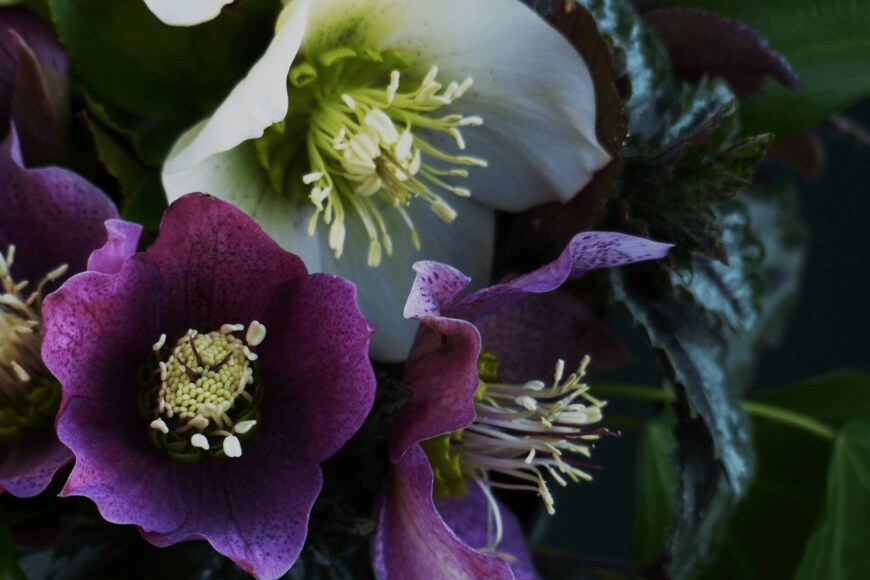 Ralf Menache/istockphoto.com