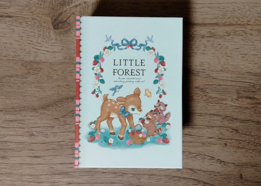 筆者撮影（セリア、ブック型ボックスS ヴィンテージフォレスト）