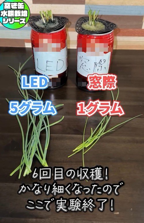 出所：mikanbo_ya19_87