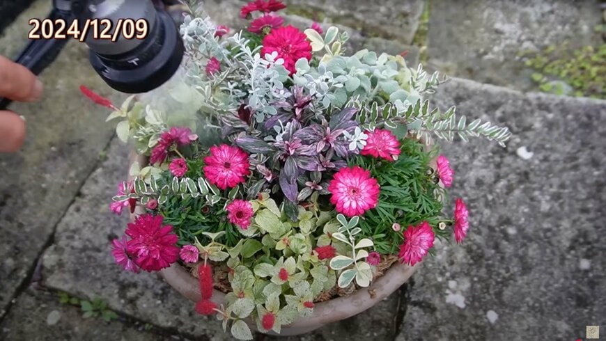 出所：@ohanachannel30