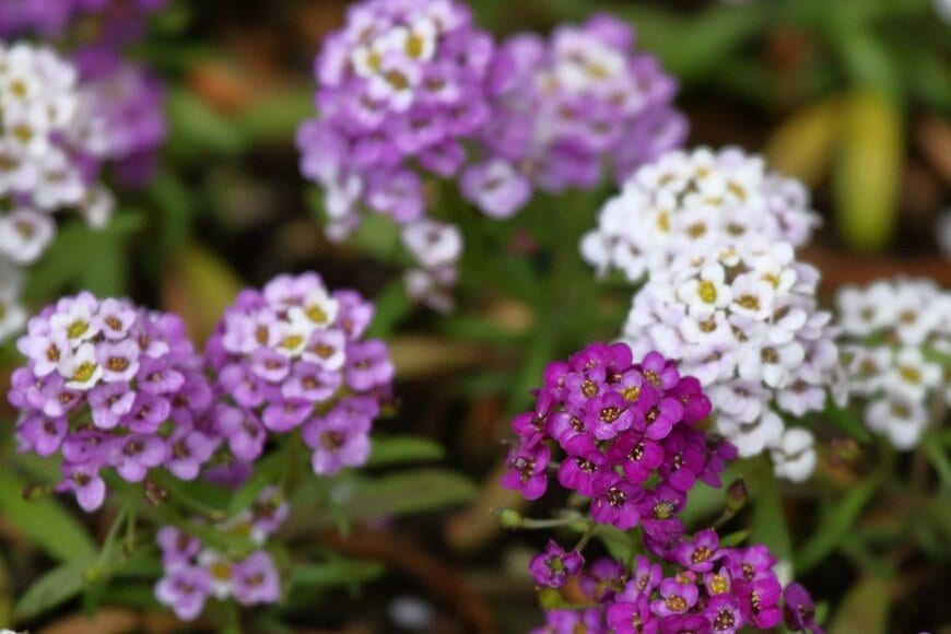 MelodyanneM/istockphoto.com