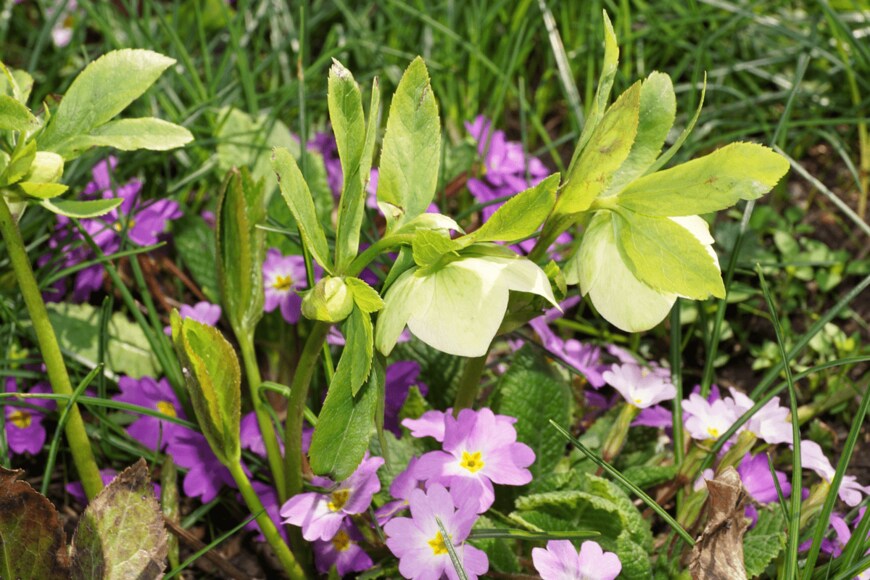 Sergey/shutterstock.com