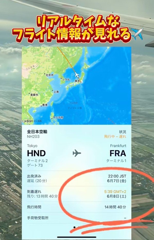 リアルタイムなフライト情報