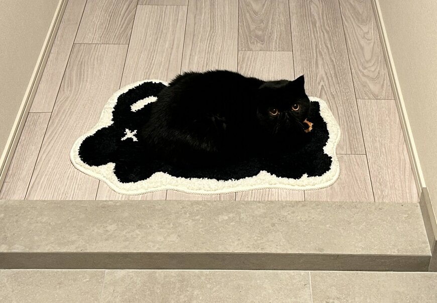 玄関マットの上に乗っていた黒猫