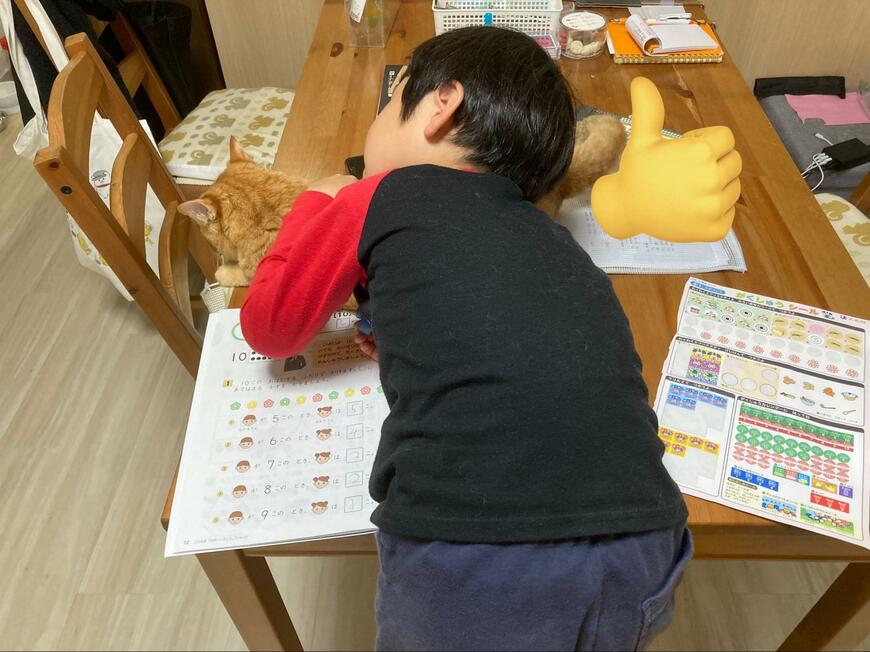 猫と子ども