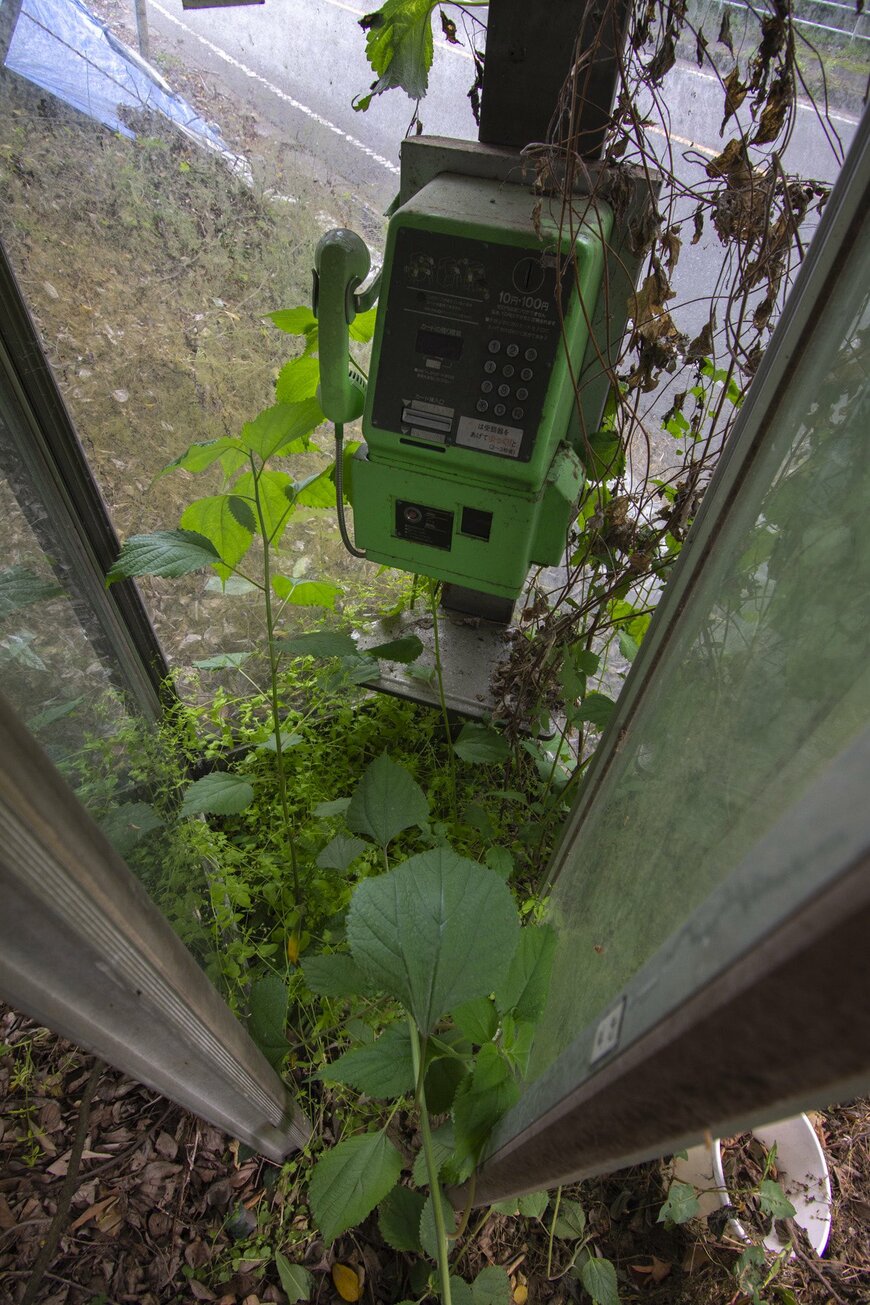 まるで温室のような電話ボックス