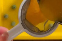 【100均アイテムを使ったお弁当】レンチンで「オムレツ」が作れる！彩り豊かなお弁当が話題