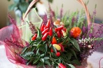 【センスのいい寄せ植えづくり】1鉢で秋の玄関が映える！おしゃれな「実」を楽しむ組み合わせ3例