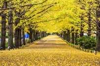 【療育手帳】所持者は128万人以上！「どんな人が持っている？」障害者手帳を持つことで受けられる支援とは？