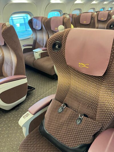 シートに同化したバッグ