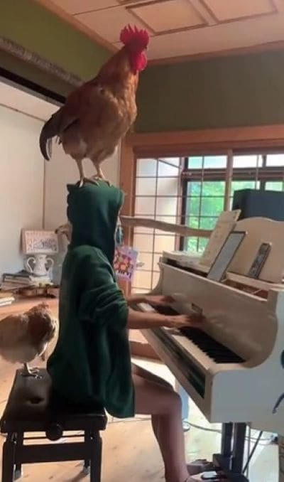 頭にのって「演奏に合いの手」を入れている？