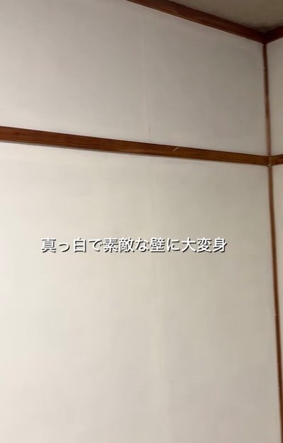 投稿の画像