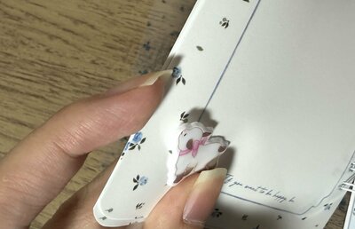 セリア、Wリングシールブック30ページ商品画像