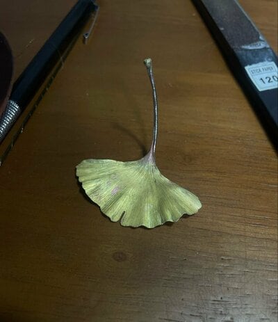 本物と見間違うほどイチョウの葉にそっくり