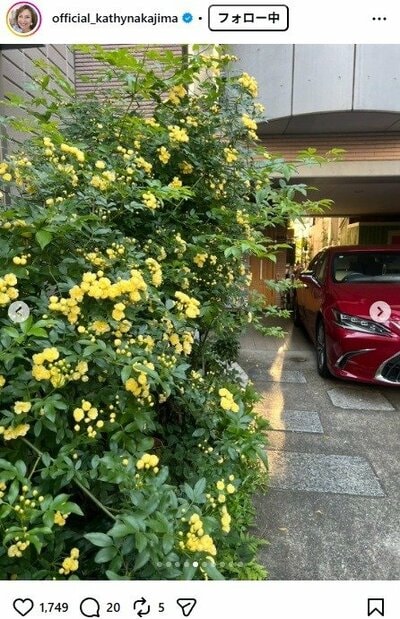 キャシー中島のInstagram投稿