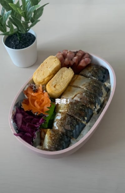 投稿動画のワンシーン