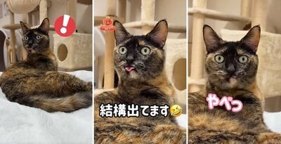 予想外のお顔になったモモちゃん