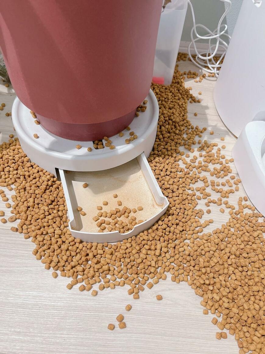 出所：@mofmof_catto