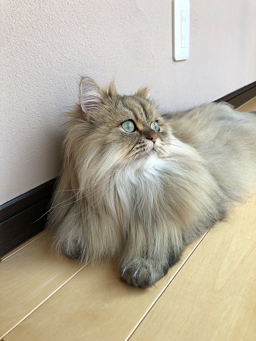 出所：@UphQepCv8J