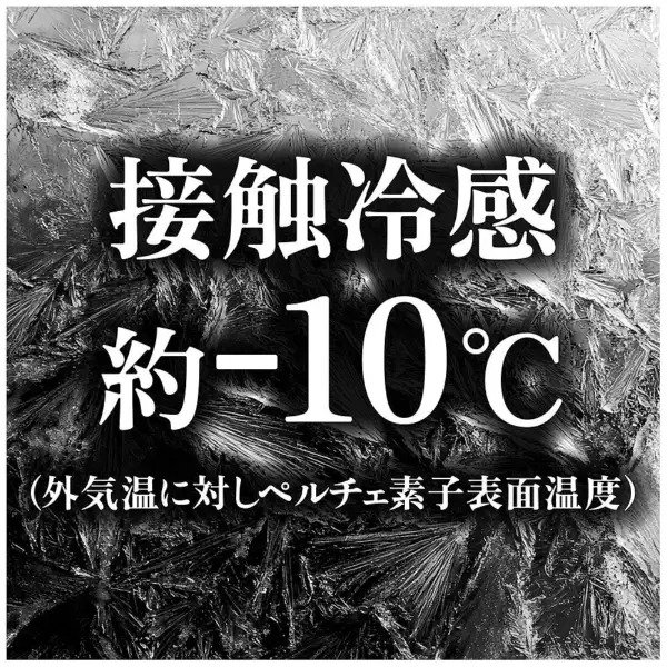 画像出所：ビックカメラ公式オンラインストア