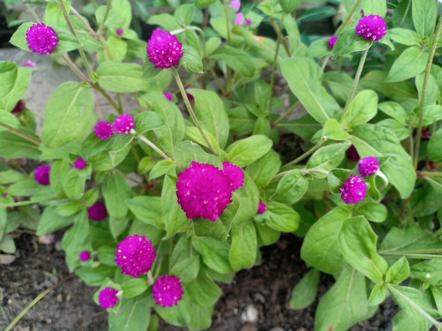 Adehan Ahmad/istockphoto.com