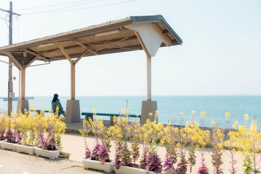 lydiarei/shutterstock.com