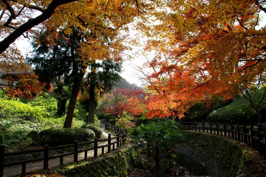 Y.K/shutterstock.com