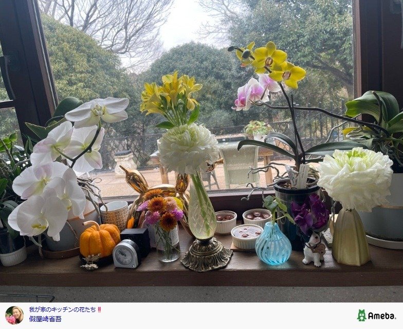 出所：假屋崎省吾の公式ブログ　参照日：2026年3月17日