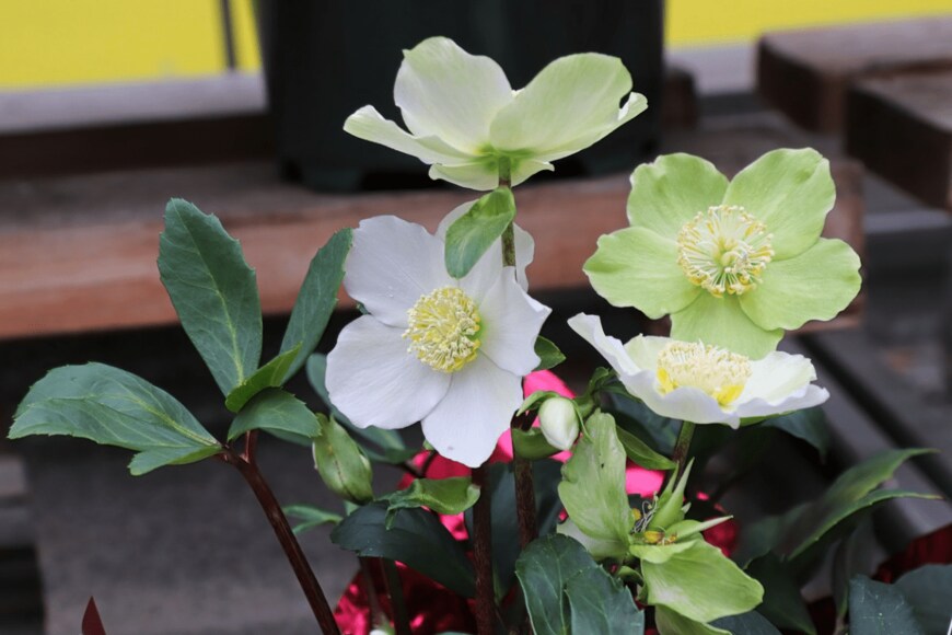 Akchamczuk/istockphoto.com