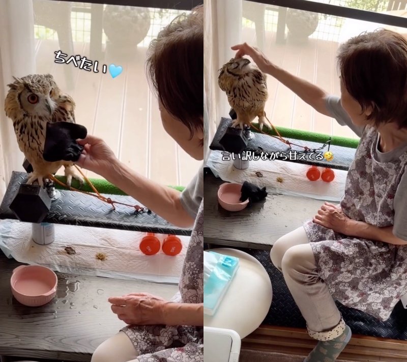 出所：@ba_chantolatte