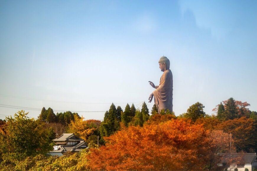 Phinnasan/shutterstock.com