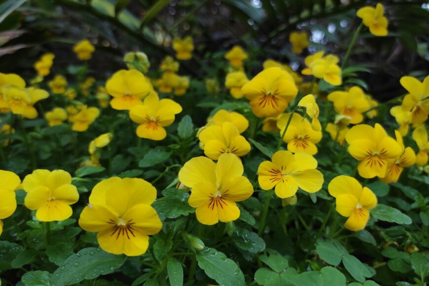 Hanna Yohanna/shutterstock.com