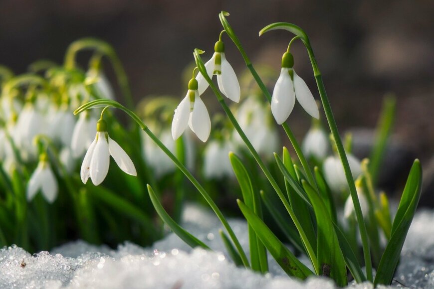 Muzka/istockphoto.com