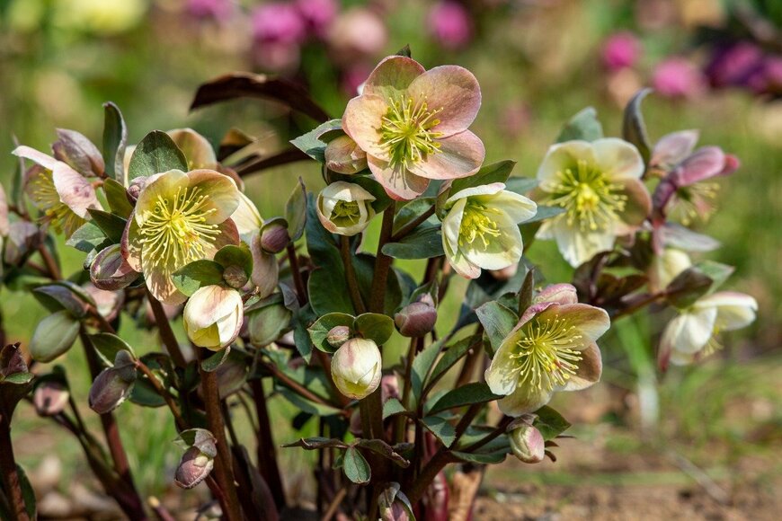 Billy_Fam/istockphoto.com