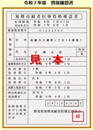 出所：群馬県後期高齢者医療広域連合「マイナ保険証・資格確認書等について」
