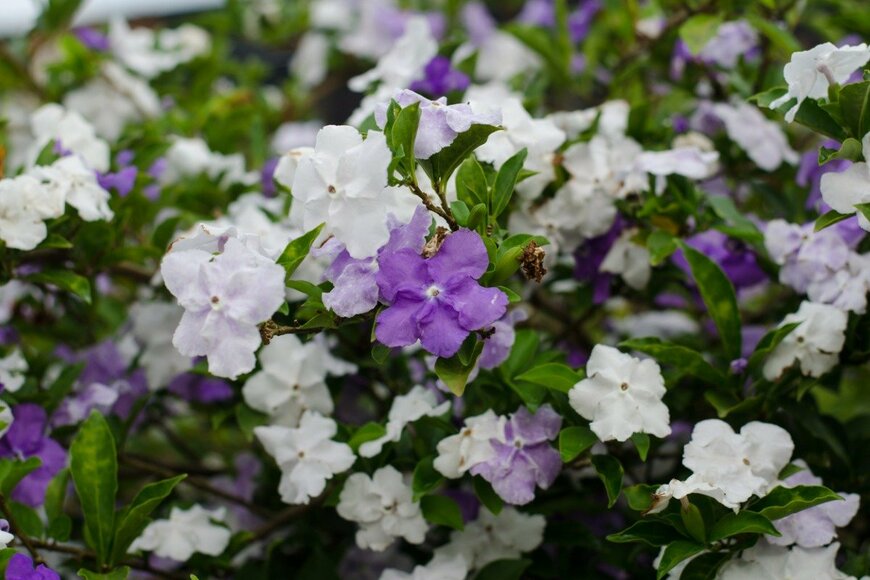 joloei/istockphoto.com