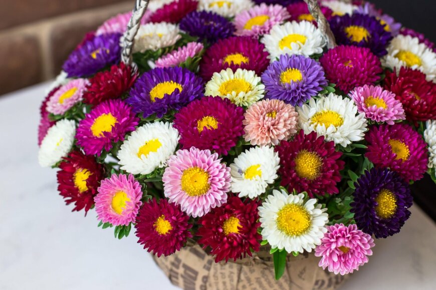 Anastasiia Murko/shutterstock.com