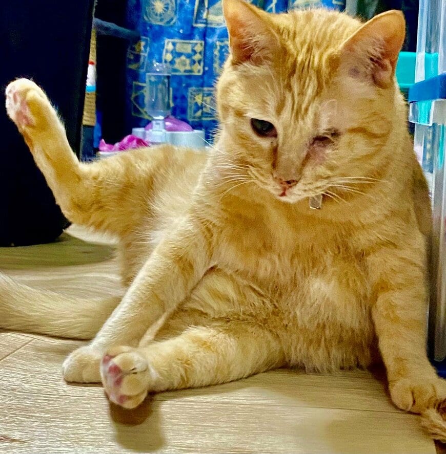 出所：@luna7taka9