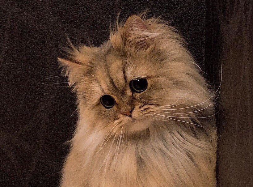 出所：@UphQepCv8J