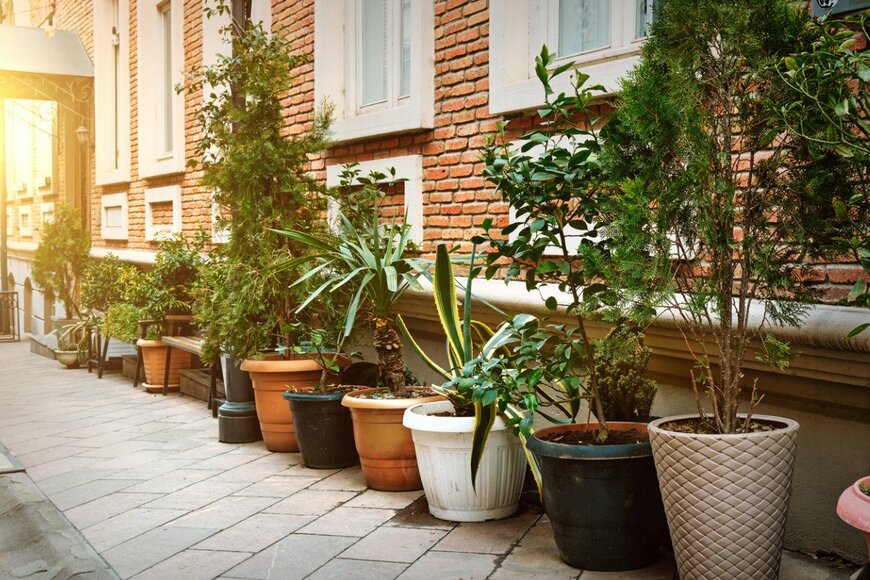 SergeyKlopotov/istockphoto.com