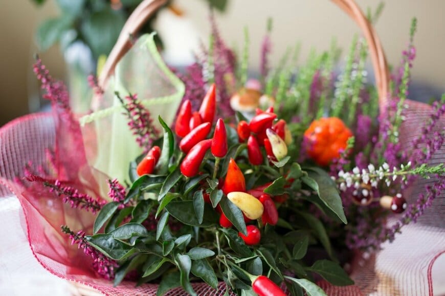 【センスのいい寄せ植えづくり】1鉢で秋の玄関が映える！おしゃれな「実」を楽しむ組み合わせ3例